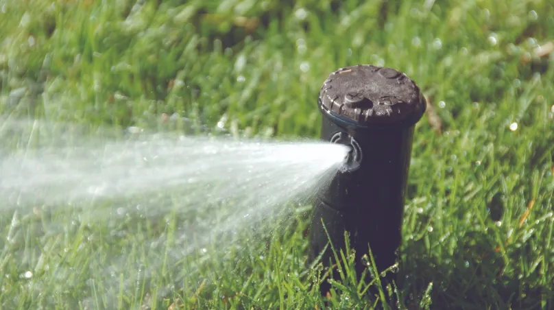 Riego por aspersión